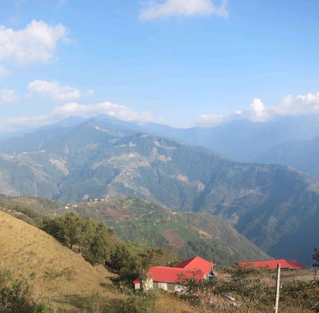 baa baa white in taiwan