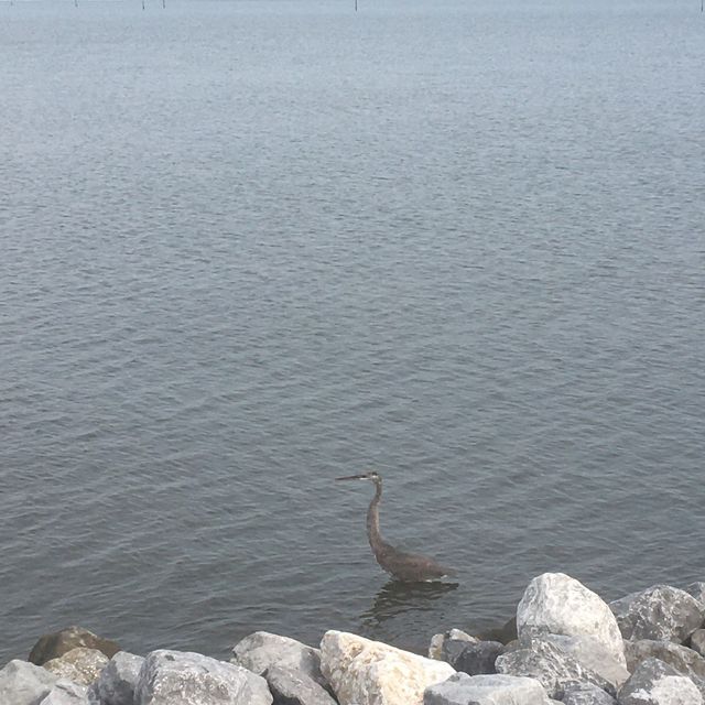 Gulfport Ms Beaches 