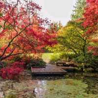 Washington Park arboretum 