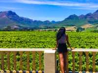 Wine tasting in Stellenbosch 🍷