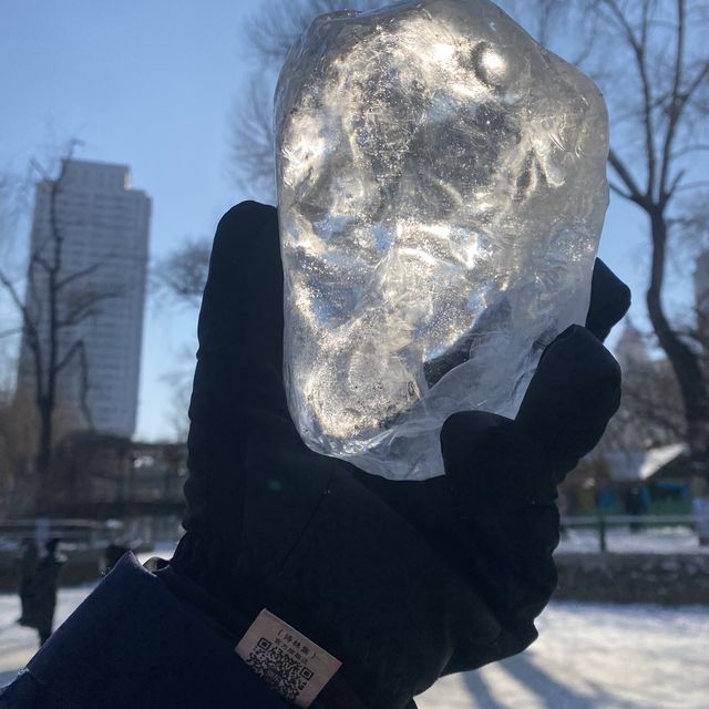 ❄️ICE SCULPTURES at day❄️