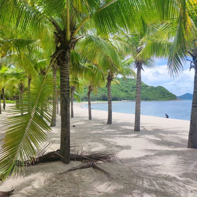 🌴A tiny slice of tropical paradise 🌴