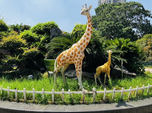 A trip to Nanchang Fu River park! Wow!