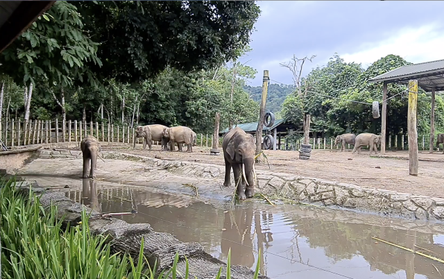 Great experience in Lok KaWi wild life park 