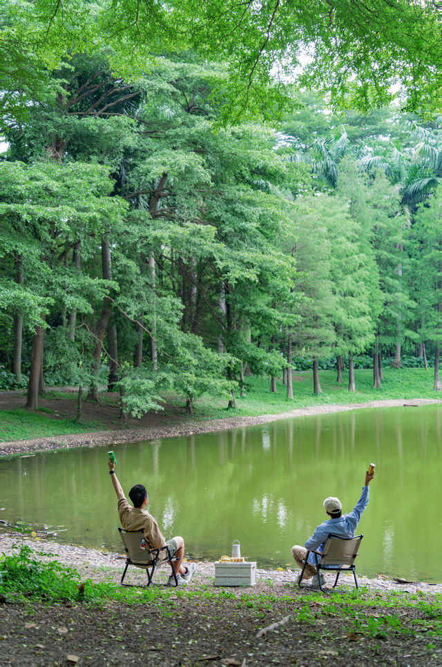 Found the real-life version of "The Wizard of Oz" in Guangzhou, breathtakingly beautiful ❗️
