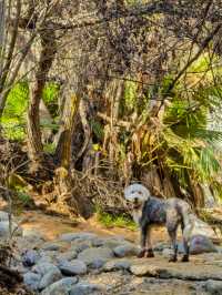 Los Angeles leisurely life