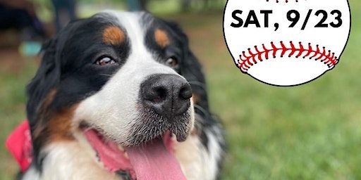 Pups in the Park (Washington) | Nationals Park