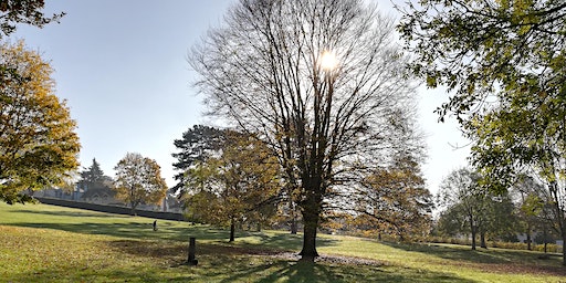 Green Fit 45 - Tuesday (1 of 2) | Mary Stevens Park - Activity Centre
