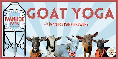 Ivanhoe Park Brewery Goat Yoga | Ivanhoe Park Brewing Company, Alden Road, Orlando, FL, USA