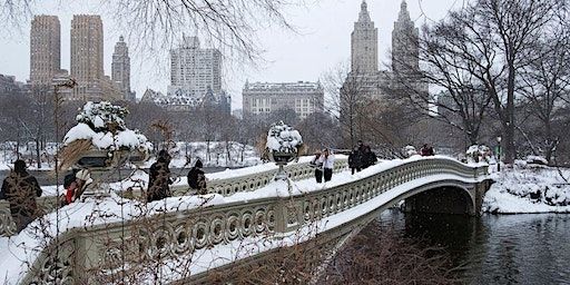 Central Park Social Walk (50s & Over) | 10965 S Gessner Rd apt 1921