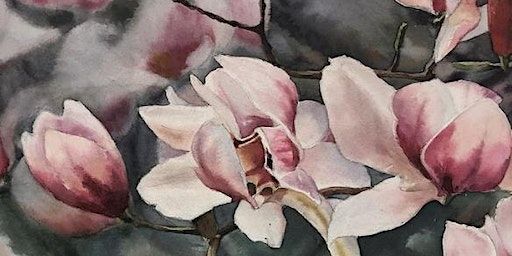 Magnolia Blossom in Watercolour Workshop in Cambridge Guild Hall | Exhibition Hall, FBC  Guildhall, Market Square, Cambridge, CB2 3QJ entrance from Peas Hill(cafe Orleans Kitchen)