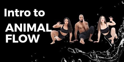 Intro To Animal Flow | 5731 Hwy 7