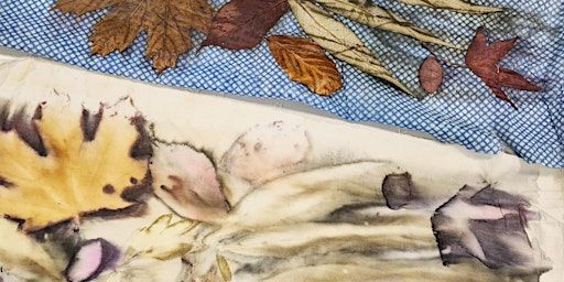 Introduction to Botanical Printing | Sunny Bank Mills Gallery
