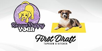 Rescue Puppy Yoga - First Draft Denver | First Draft Taproom & Kitchen