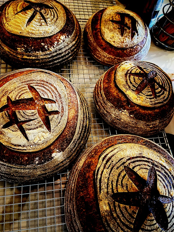 Introduction to Sourdough | Lekito