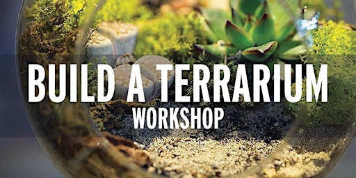 Build a Terrarium Workshop | The Lexden Crown