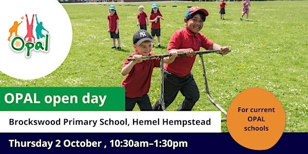Current schools: OPAL school visit – Brockswood Primary School | Brockswood Primary School