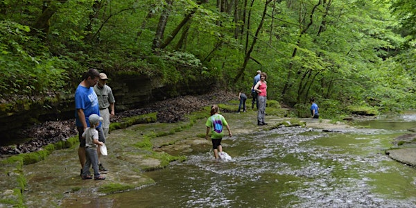 Golden Hour Elk Lick Creek Exploration | Floracliff Nature Sanctuary
