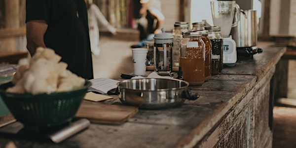 Kentucky Mushroom Festival | Barren River Magic