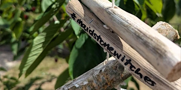 The Story of The Maidstone Witch Trials | Maidstone Town Hall