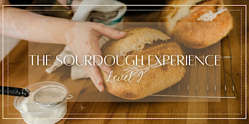 Sourdough Experience - Level I (Apr.11.2026) | Red Hen Artisanale