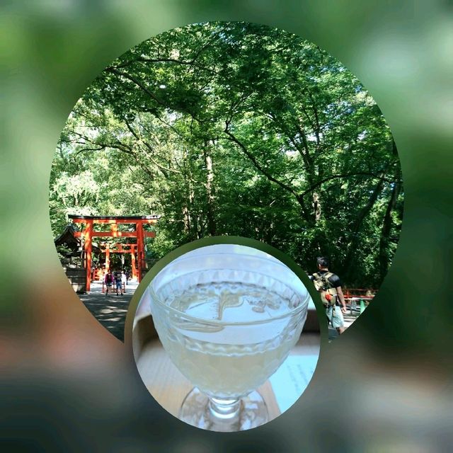 美人水が美味しい【河合神社と参道】