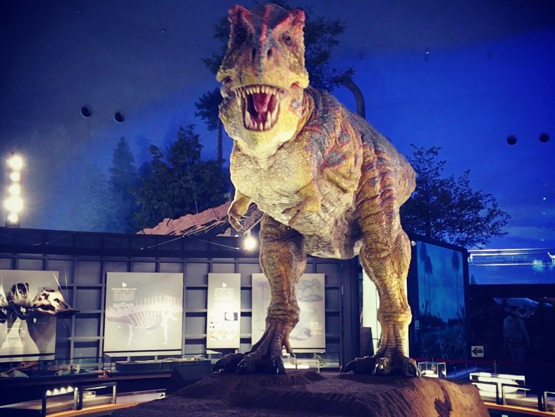 福井県立恐竜博物館のレビュー 福井県立恐竜博物館のチケット 福井県立恐竜博物館の割引 福井県立恐竜博物館の交通機関 所在地 営業時間 福井県立恐竜博物館周辺の観光スポット ホテル グルメ Trip Com