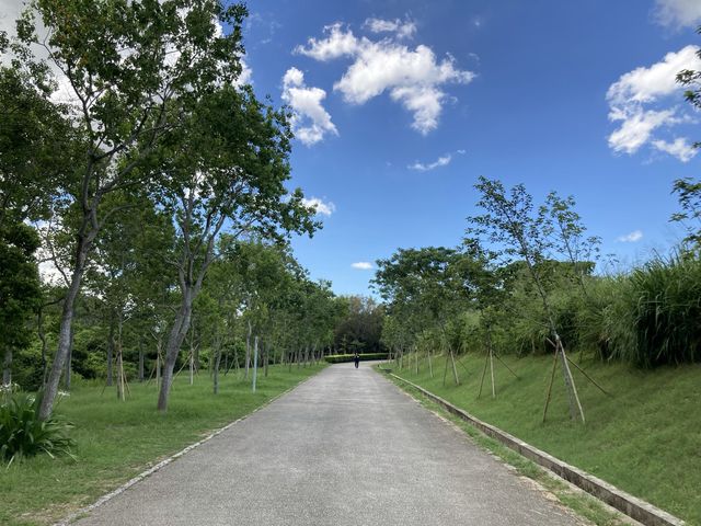 濕地公園生態遊🦋