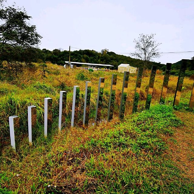 故事小島—鹽田梓