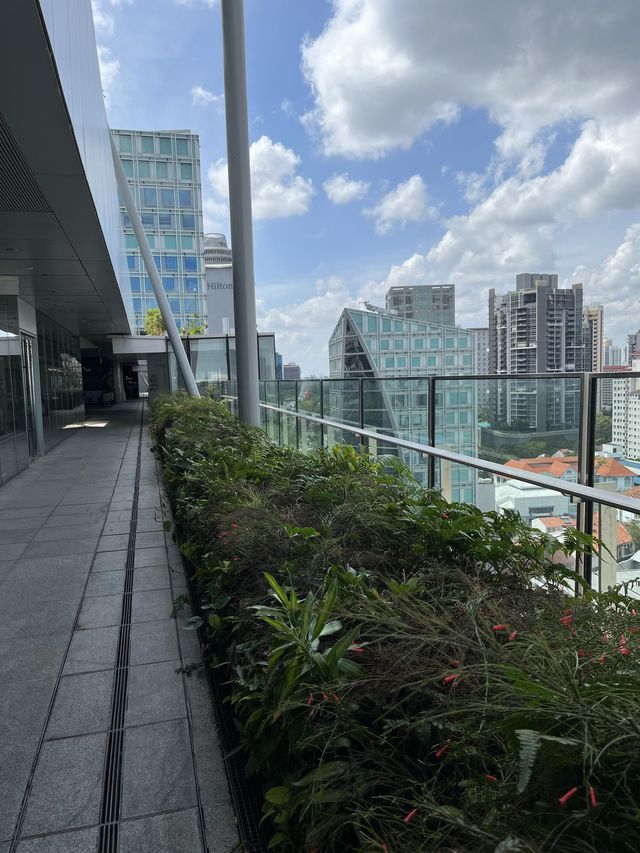 Orchard Central Roof Garden 