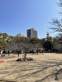 【横浜公園】