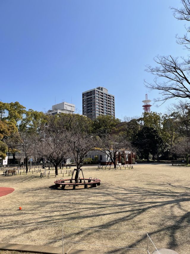 【横浜公園】