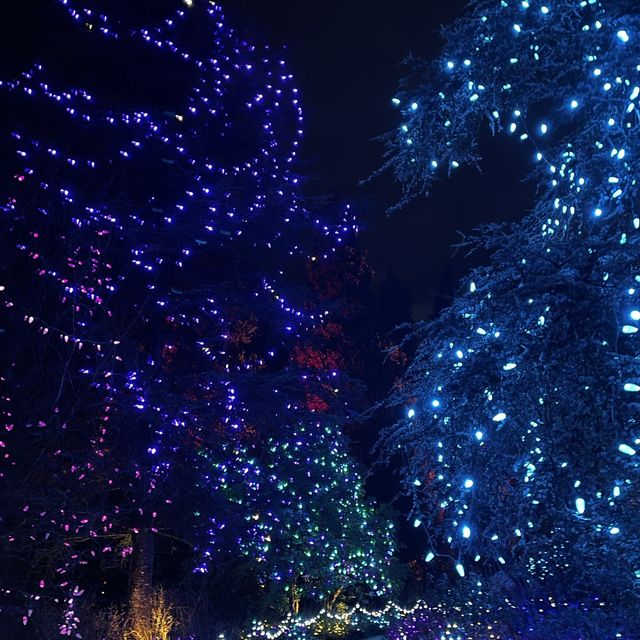 Christmas lights festival at the botanical gardens 