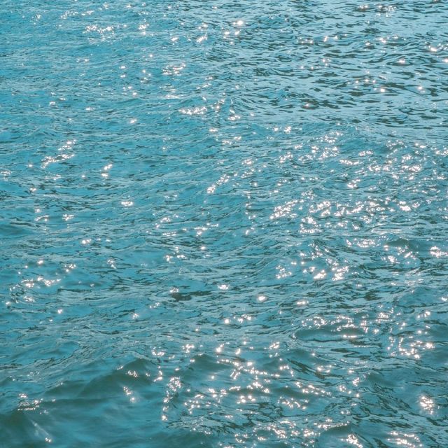 🌊부산 광안리를 색다른 시선으로 느낄 수 있는 [부산, 요트투어]