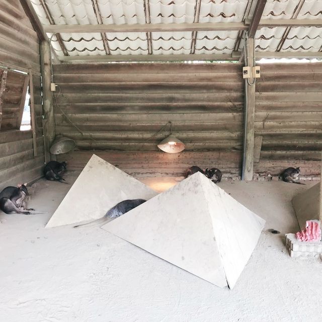 南台灣最大的野生動物園