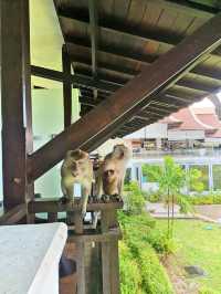 Westin @Langkawi