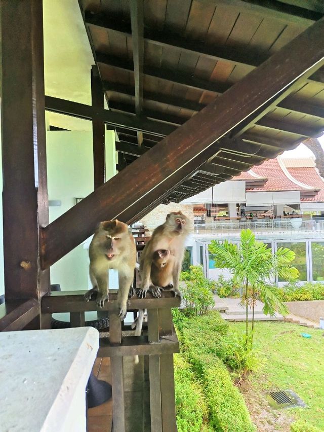 Westin @Langkawi