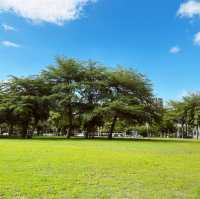 超大公園綠地｜大義公園｜裝置藝術好拍好可愛