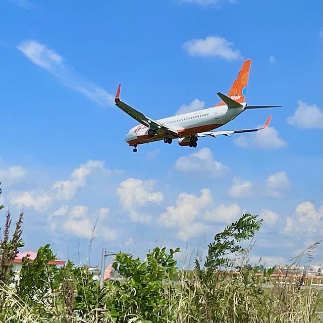 비행기와 인생샷찍기✈️