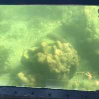 海下灣海洋生物中心