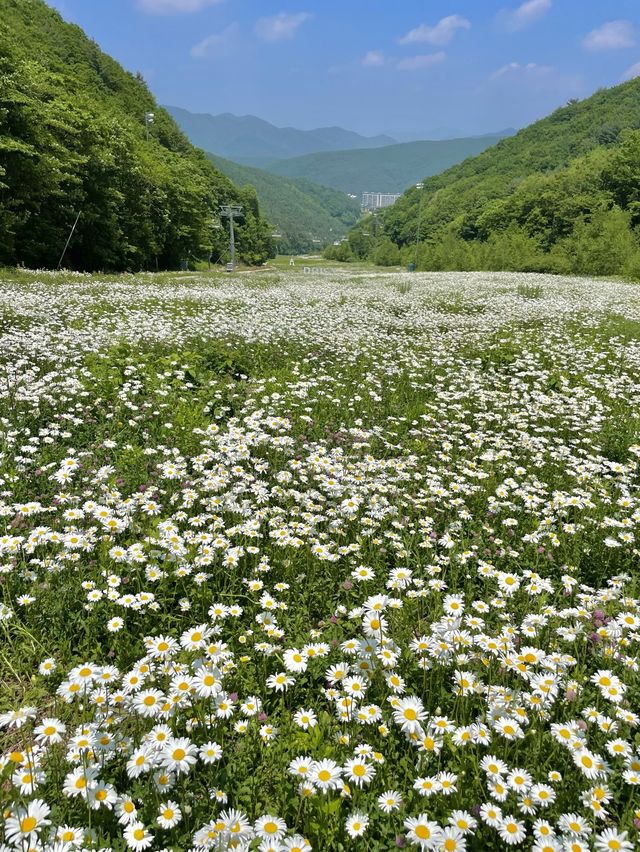 누가 여기 치즈가루 뿌려놨어🤍