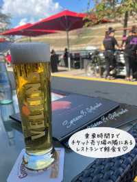 フランクフルトから日帰りOK「ライン川クルーズで古城巡り」