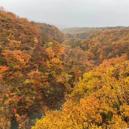 【岩手県】渓谷全体が紅葉の絶景へ