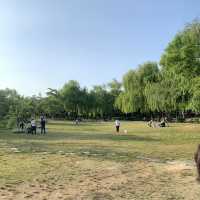 피크닉하기 좋은 용산 가족공원!