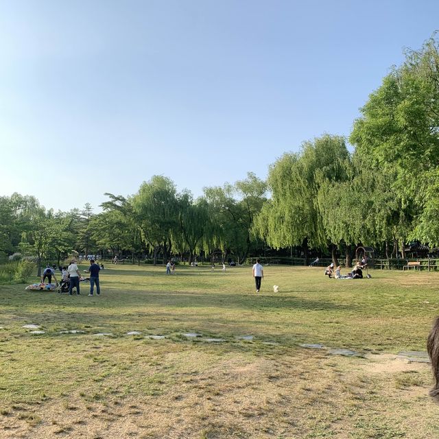 피크닉하기 좋은 용산 가족공원!