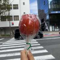 일본 사과 사탕 🍎