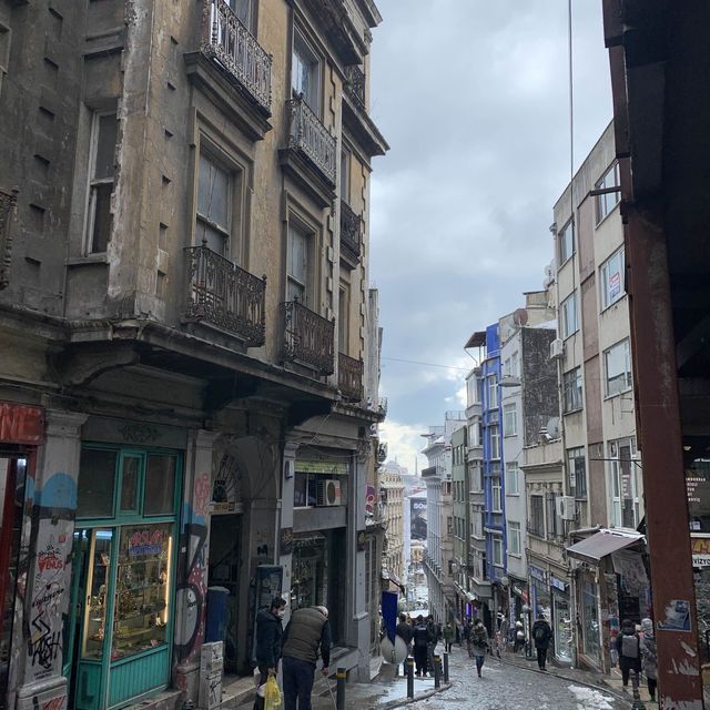 Istanbul Turkey features the Blue mosque.