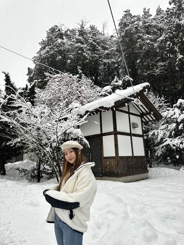 눈오는 날 더 매력적인 홋카이도 신궁 ⛩️