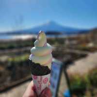 一窺富士山全貌嘅好地方 - 河口湖大石公園👍
