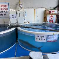 대전 방어 맛집 낮술하기 좋은 바다수산